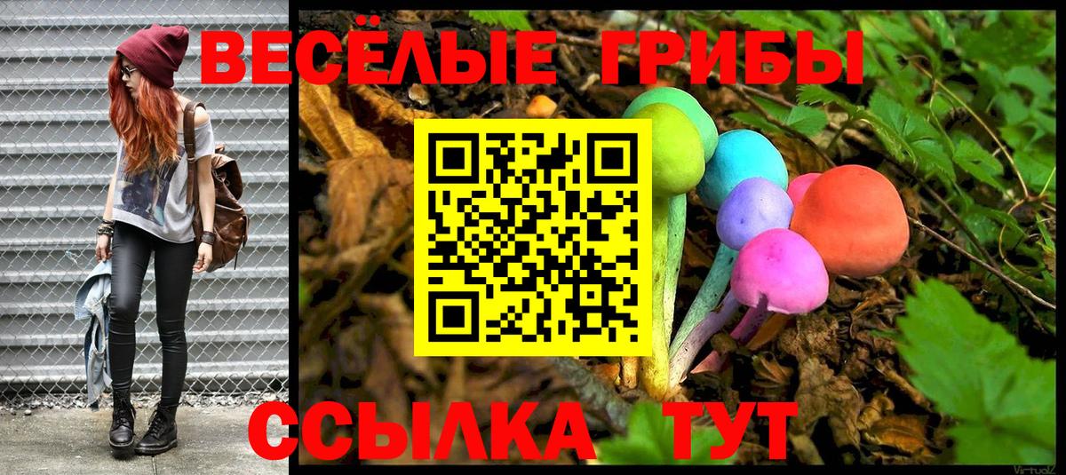 Галлюциногенные грибы прущие грибы Клинцы
