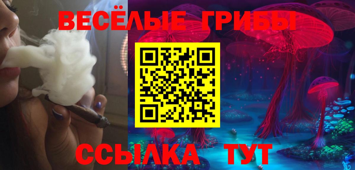 Клинцы  Псилоцибиновые грибы ЛСД  Вход с VPN  Галлюциногенные грибы Psilocybine cubensis 